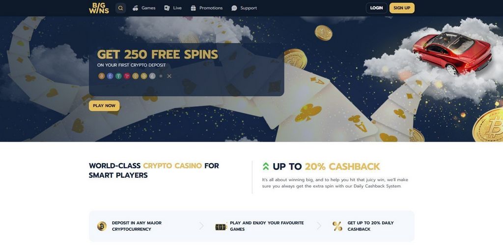 Bigwins Gambling Enterprise Evaluation: Full Testimonial in 2025
